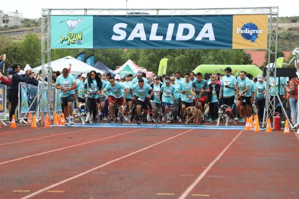 Carrera P Run 1 1