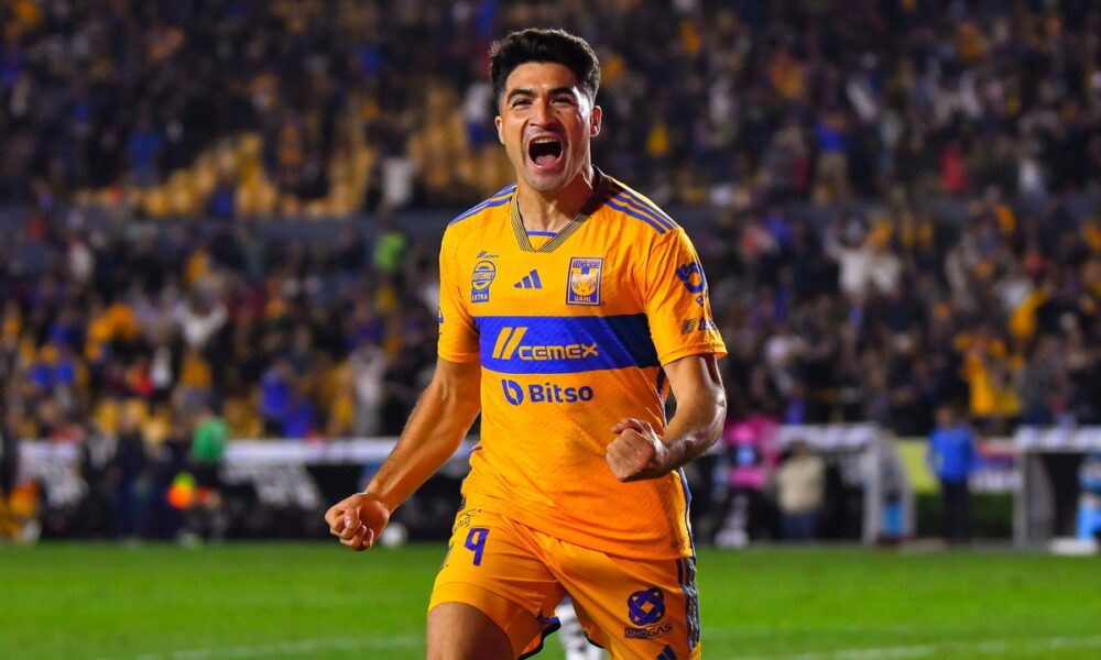 Tigres6