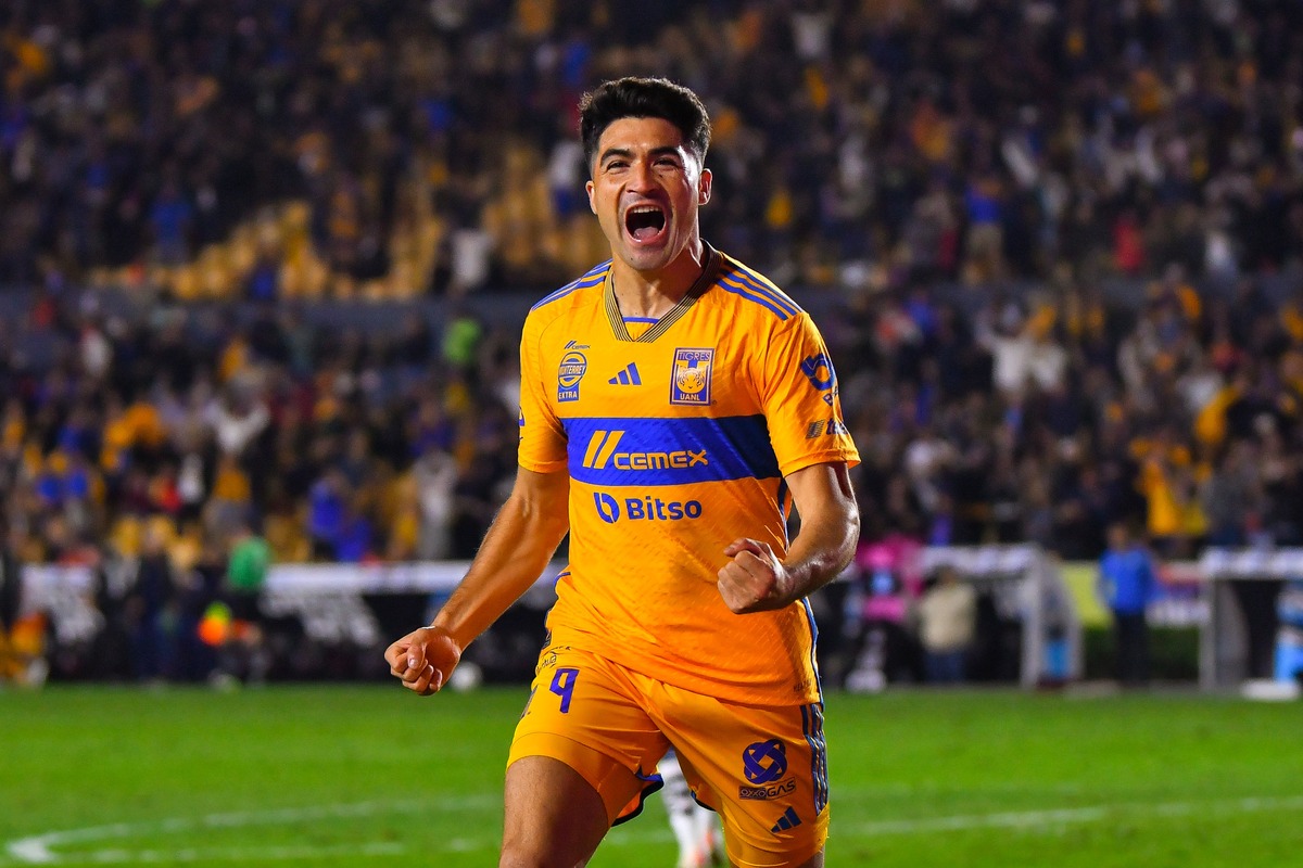 Tigres6