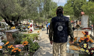 Saldo blanco en Día de Muertos